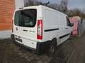 Fiat Scudo 10 SX L1H1 130 Multijet-AHK-2,0L-128PS-Klima-USW.. Weiß - thumbnail 3