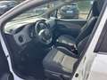 Toyota Yaris Yaris 1.0 5 porte Active - thumbnail 11