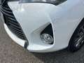 Toyota Yaris Yaris 1.0 5 porte Active - thumbnail 10