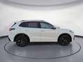 Volkswagen Tiguan 2.0 TDI DSG 4Motion R-Line IQ.Drive AHK Weiß - thumbnail 6