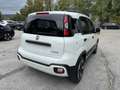 Fiat Panda Cross 1.0 FireFly S&S Hybrid Blanc - thumbnail 5