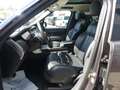 Land Rover Range Rover D350 First Edi Autobiongraph 23"/PAN/FOND-TV/STHZ Grau - thumbnail 12