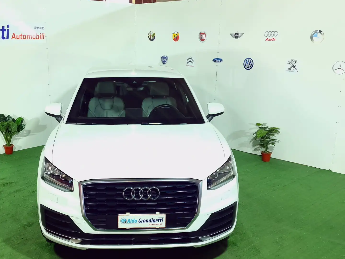 Audi Q2 Q2 1.6 tdi S line edition Weiß - 2