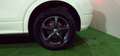 Audi Q2 Q2 1.6 tdi S line edition Weiß - thumbnail 16