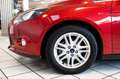 Ford Focus Turnier Titanium 1.0 Benzin 1.Hand Rot - thumbnail 11