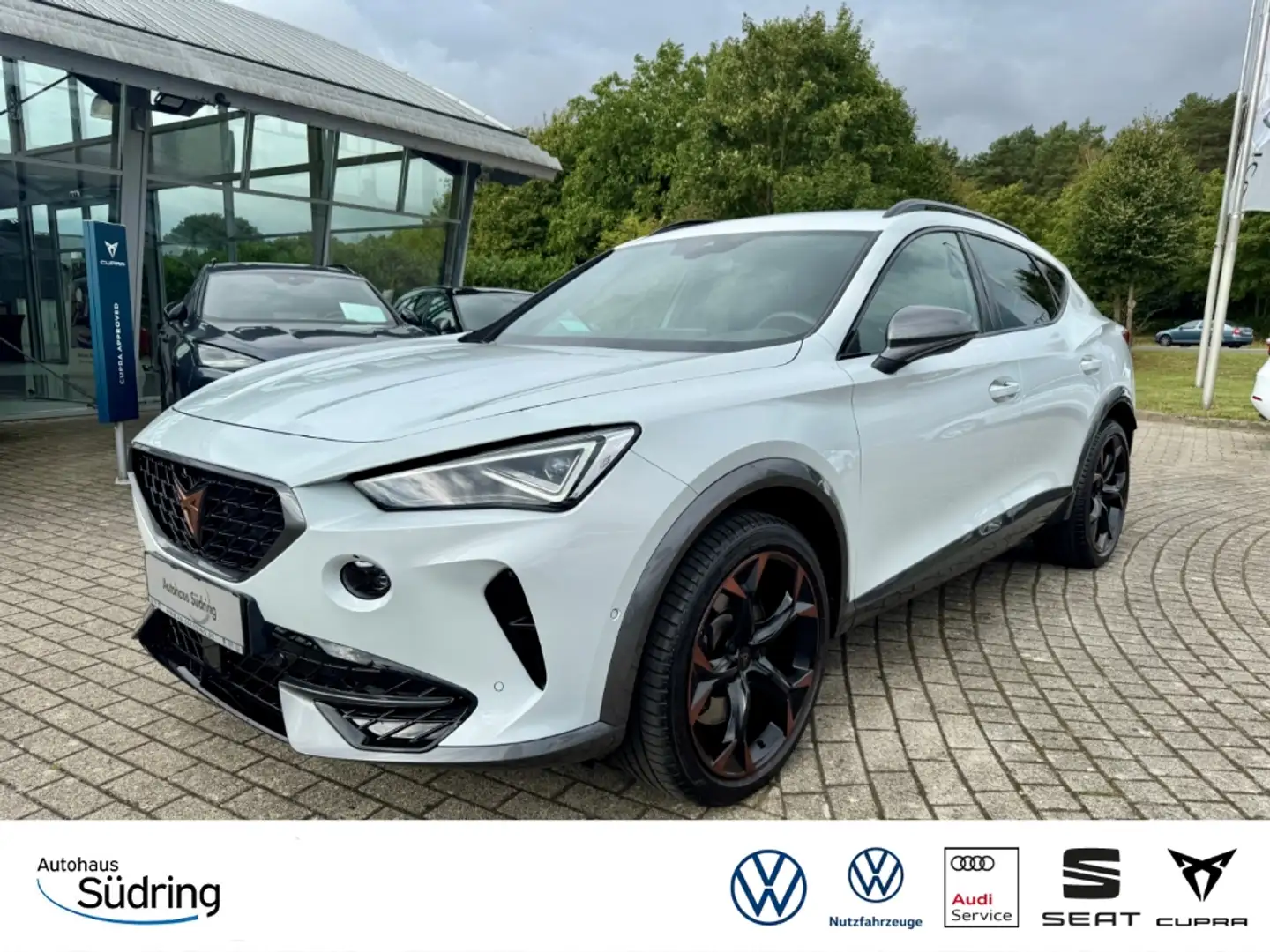 CUPRA Formentor 2,0 TSI VZ 4DRIVE DSG Leder Akrapovic Weiß - 1