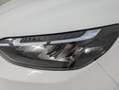 Ford Transit Custom Kasten 2,5 PHEV L1H1 320 Limited Aut. Ganzjahre... Weiß - thumbnail 14