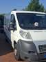 Fiat Ducato L1H1 - thumbnail 9