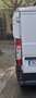 Fiat Ducato L1H1 - thumbnail 1