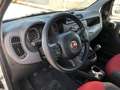 Fiat Panda 1.3 MJT S&S 4x4 Pop Climbing Van 2 posti Blanc - thumbnail 7