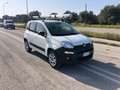 Fiat Panda 1.3 MJT S&S 4x4 Pop Climbing Van 2 posti Blanc - thumbnail 3
