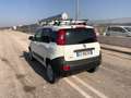 Fiat Panda 1.3 MJT S&S 4x4 Pop Climbing Van 2 posti Blanc - thumbnail 5