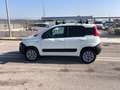 Fiat Panda 1.3 MJT S&S 4x4 Pop Climbing Van 2 posti Blanc - thumbnail 6