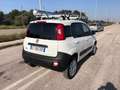 Fiat Panda 1.3 MJT S&S 4x4 Pop Climbing Van 2 posti Blanc - thumbnail 4