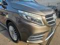 Mercedes-Benz V 200 V 250 CDI AMG Line . 4MATIC extralang 7 Sitzer Gris - thumbnail 13