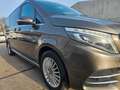 Mercedes-Benz V 200 V 250 CDI AMG Line . 4MATIC extralang 7 Sitzer Gris - thumbnail 14