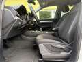 Audi Q5 35 TDI S-Line Virtual-Kamera-ACC Blanc - thumbnail 8