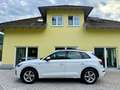 Audi Q5 35 TDI S-Line Virtual-Kamera-ACC Blanc - thumbnail 4
