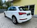 Audi Q5 35 TDI S-Line Virtual-Kamera-ACC Blanc - thumbnail 7
