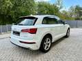 Audi Q5 35 TDI S-Line Virtual-Kamera-ACC Blanc - thumbnail 5