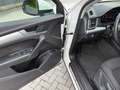 Audi Q5 35 TDI S-Line Virtual-Kamera-ACC Blanc - thumbnail 9
