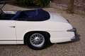 Oldtimer Delahaye 235 Convertible by Antem PRICE REDUCTION The 1952 Weiß - thumbnail 48