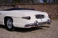 Oldtimer Delahaye 235 Convertible by Antem PRICE REDUCTION The 1952 Weiß - thumbnail 19
