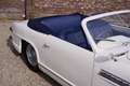 Oldtimer Delahaye 235 Convertible by Antem PRICE REDUCTION The 1952 Weiß - thumbnail 50