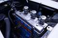 Oldtimer Delahaye 235 Convertible by Antem PRICE REDUCTION The 1952 Weiß - thumbnail 4