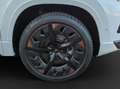 CUPRA Ateca 1.5 TSI Pano DCC Beats DSG Weiß - thumbnail 14