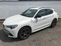 Alfa Romeo Stelvio MY 20 Stelvio 2.0 Turbo 16V 206kW Veloce AT8-Q4 Blanco - thumbnail 5