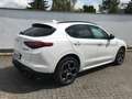 Alfa Romeo Stelvio MY 20 Stelvio 2.0 Turbo 16V 206kW Veloce AT8-Q4 Blanco - thumbnail 6