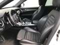 Alfa Romeo Stelvio MY 20 Stelvio 2.0 Turbo 16V 206kW Veloce AT8-Q4 Blanco - thumbnail 12