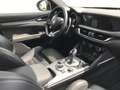 Alfa Romeo Stelvio MY 20 Stelvio 2.0 Turbo 16V 206kW Veloce AT8-Q4 Blanco - thumbnail 14