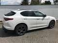 Alfa Romeo Stelvio MY 20 Stelvio 2.0 Turbo 16V 206kW Veloce AT8-Q4 Blanco - thumbnail 7