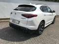 Alfa Romeo Stelvio MY 20 Stelvio 2.0 Turbo 16V 206kW Veloce AT8-Q4 Blanco - thumbnail 8