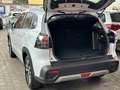 Suzuki S-Cross 1,4 Hybrid ALLGRIP flash 129 PS Weiß - thumbnail 4