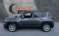 Jeep Renegade Limited 1.6 Mjet 95,6kW (130CV) 4x2 Gris - thumbnail 3