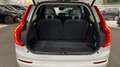 Volvo XC90 2.0 B5 D MOMENTUM PRO AWD AUTO 5P 7 PLAZAS Weiß - thumbnail 14