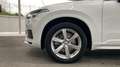 Volvo XC90 2.0 B5 D MOMENTUM PRO AWD AUTO 5P 7 PLAZAS Weiß - thumbnail 10