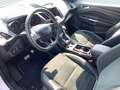 Ford Kuga ST-Line Blanc - thumbnail 10