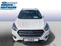 Ford Kuga ST-Line Blanc - thumbnail 2