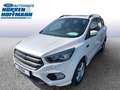 Ford Kuga ST-Line Blanc - thumbnail 1