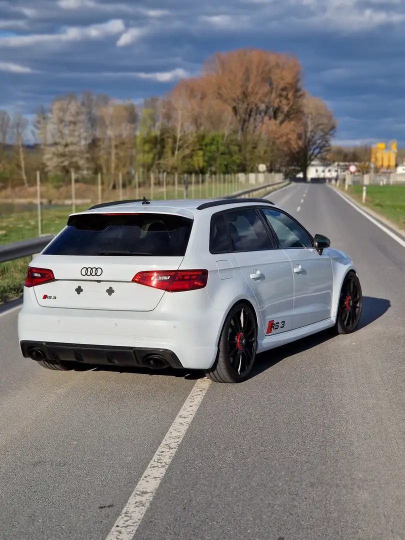 Audi RS3 SB Quattro S-tronic Ohne OPF Carbon&Alcantara Weiß - 2