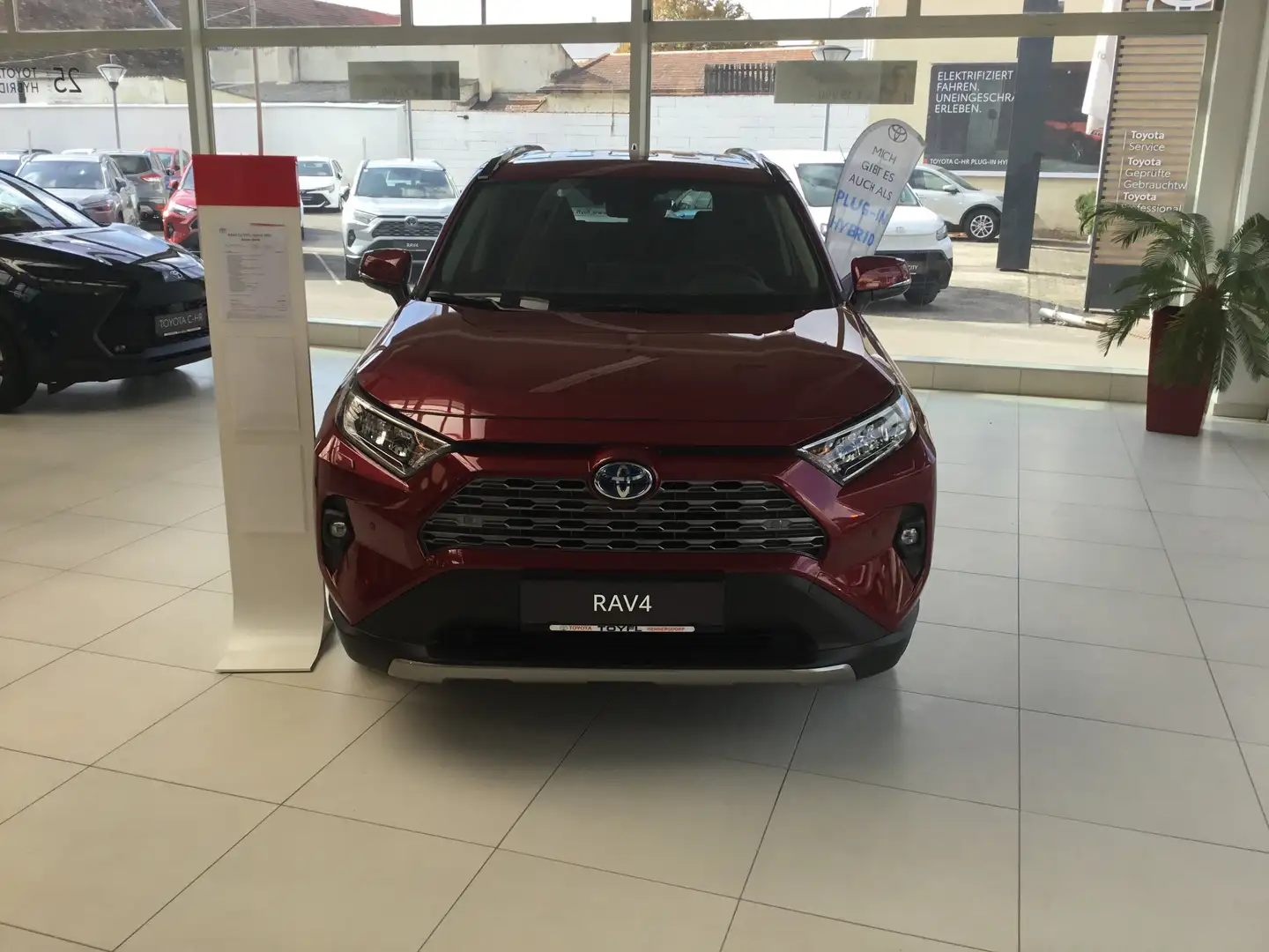 Toyota RAV 4 Active Drive Rot - 2