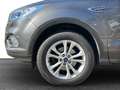 Ford Kuga Titanium+Gepflegt+Navi/Carplay+Cam+ Grau - thumbnail 12