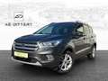 Ford Kuga Titanium+Gepflegt+Navi/Carplay+Cam+ Grau - thumbnail 1