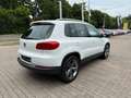 Volkswagen Tiguan 1.4 TSI Lounge Sport & Style/Pano/Standhz Weiß - thumbnail 5