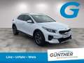Kia XCeed Silber 1.5 TGDI Weiß - thumbnail 2