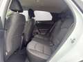 Kia XCeed Silber 1.5 TGDI Weiß - thumbnail 16